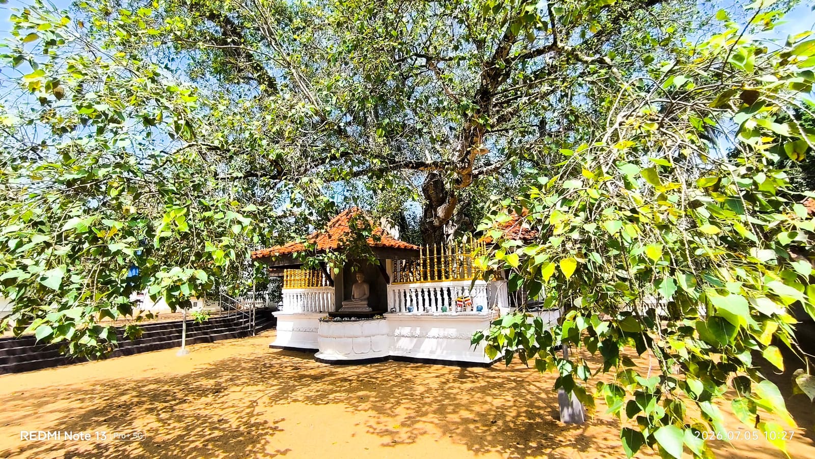 Bodhi Tree Shrine photo 5