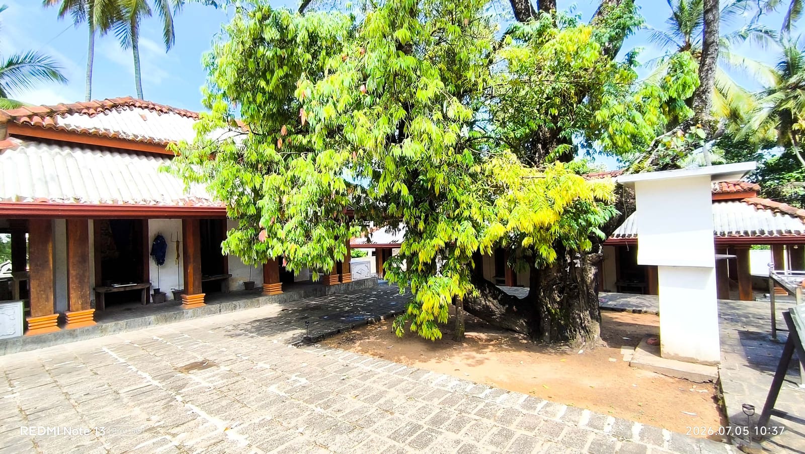 Na Bodhi Tree photo 7